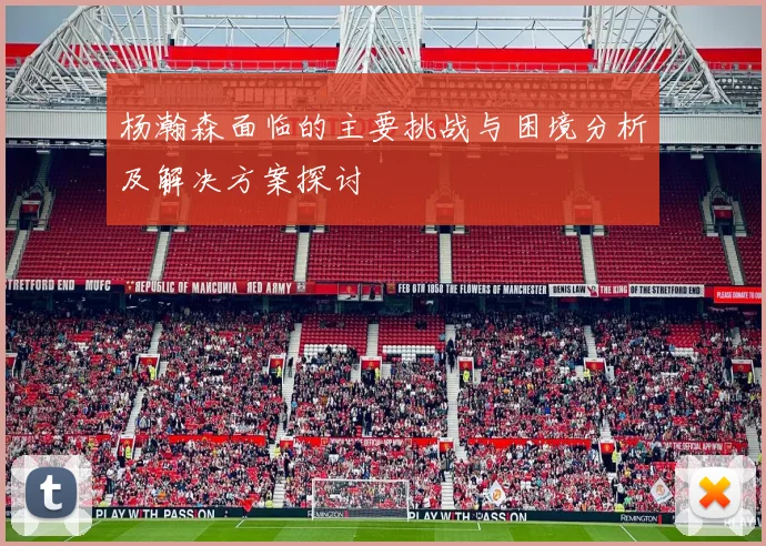 杨瀚森面临的主要挑战与困境分析及解决方案探讨