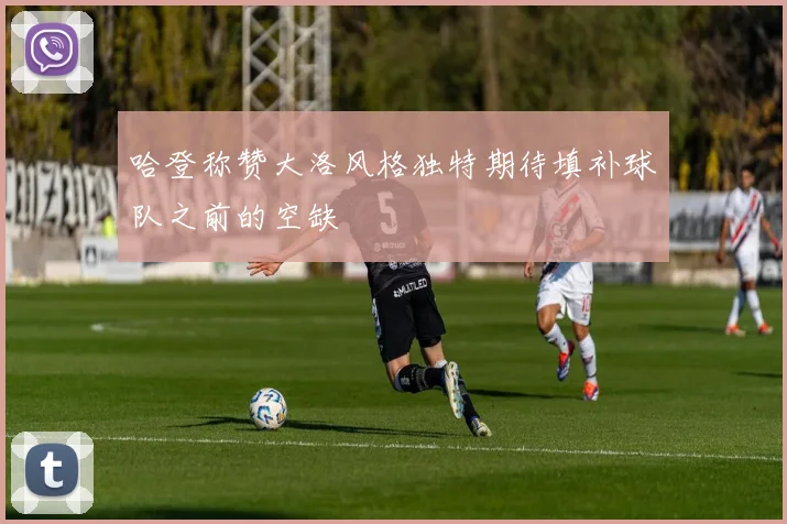 哈登称赞大洛风格独特期待填补球队之前的空缺